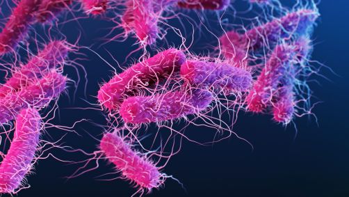 Ao todo, 128 tipos de toxinas foram identificadas, das quais 45 são muito diferentes de toxinas conhecidas ou nunca haviam sido descritas pela ciência
