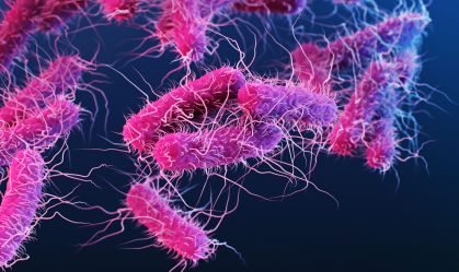 Imagem de destaque do post: Estudo descobre 45 novas toxinas da salmonella que podem virar antibióticos