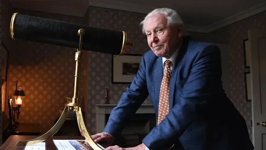 Príncipe William celebra 100 anos de naturalista David Attenborough