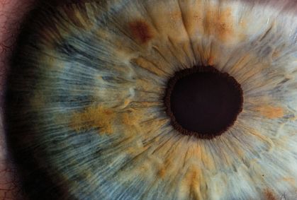 Glaucoma segue sendo a principal causa de cegueira irreversível no Brasil