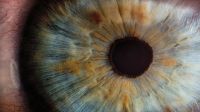 Learn how to identify vision problems in children