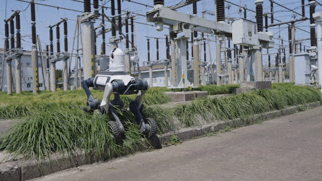 O Lynx M20S foi projetado para atuar em inspeção de redes elétricas, resposta a emergências, logística e exploração científica • DEEP Robotics/Divulgação