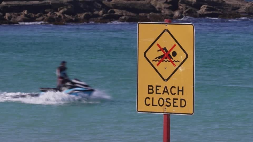 Witnesses 'in shock' after shark mauls woman at Sydney beach