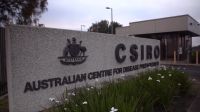 Austrália relata segundo caso de gripe aviária H5N1 em menos de uma semana