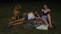 Paris abre parques à noite durante onda de calor