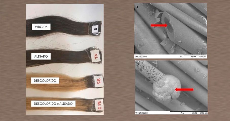Danos que ocorrem no córtex do cabelo, a camada mais interna dos fios • Cibele Lima/IF-USP