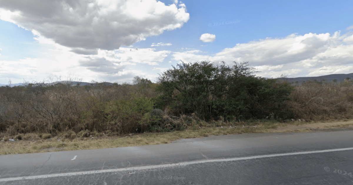 Acidente entre van e caminhão deixa 16 mortos na BR-116, na Bahia