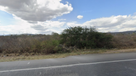 Acidente entre van e caminhão deixa 16 mortos na BR-116, na Bahia