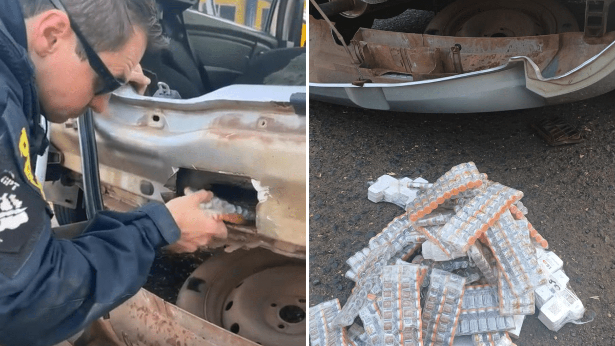 Receita apreende emagrecedores escondidos em filtro de ar de moto no PR