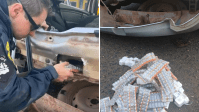 Polícia encontra 2 mil ampolas de emagrecedoras em para-choque de carro