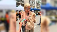 Terremotos na Venezuela: Entenda como equipes de resgate trabalham