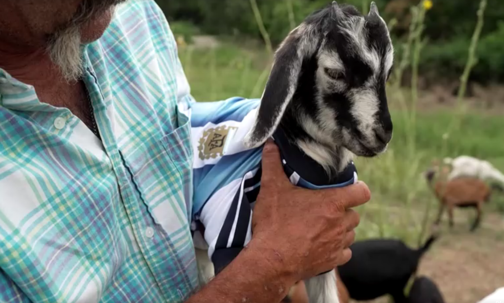 Cabra recebe nome de Messi em homenagem ao maior artilheiro da Copa