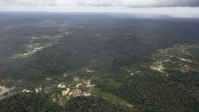 Garimpo fantasma é usado para "lavar" ouro ilegal na Amazônia, diz estudo