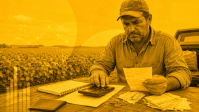 Concessão de crédito rural cai 17% em 2025, para R$ 179 bilhões