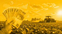 Plano Safra 2026/27: o crédito rural está chegando no limite?