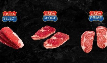 Classificação das carnes nos EUA