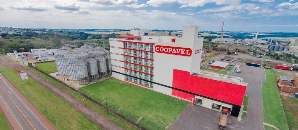Safra recorde de cevada impulsiona expansão da indústria de bebidas no PR