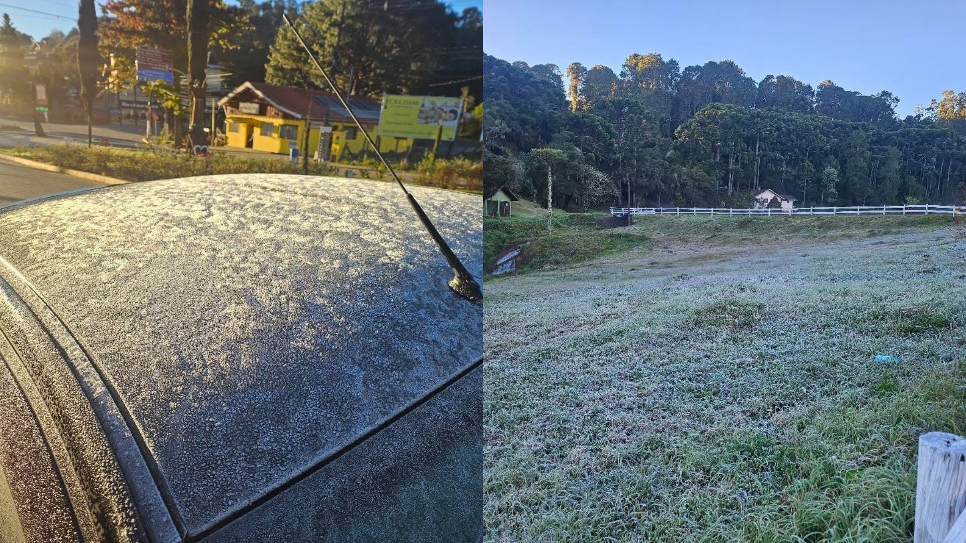 Geadas registradas em Monte Alegre (MG) - 17.06.2026