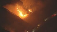 Incêndio florestal obriga moradores a deixarem casas na Califórnia