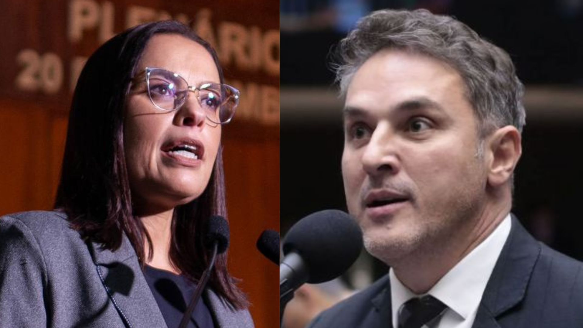 Juliana Brizola (PDT) e Luciano Zucco (PL)