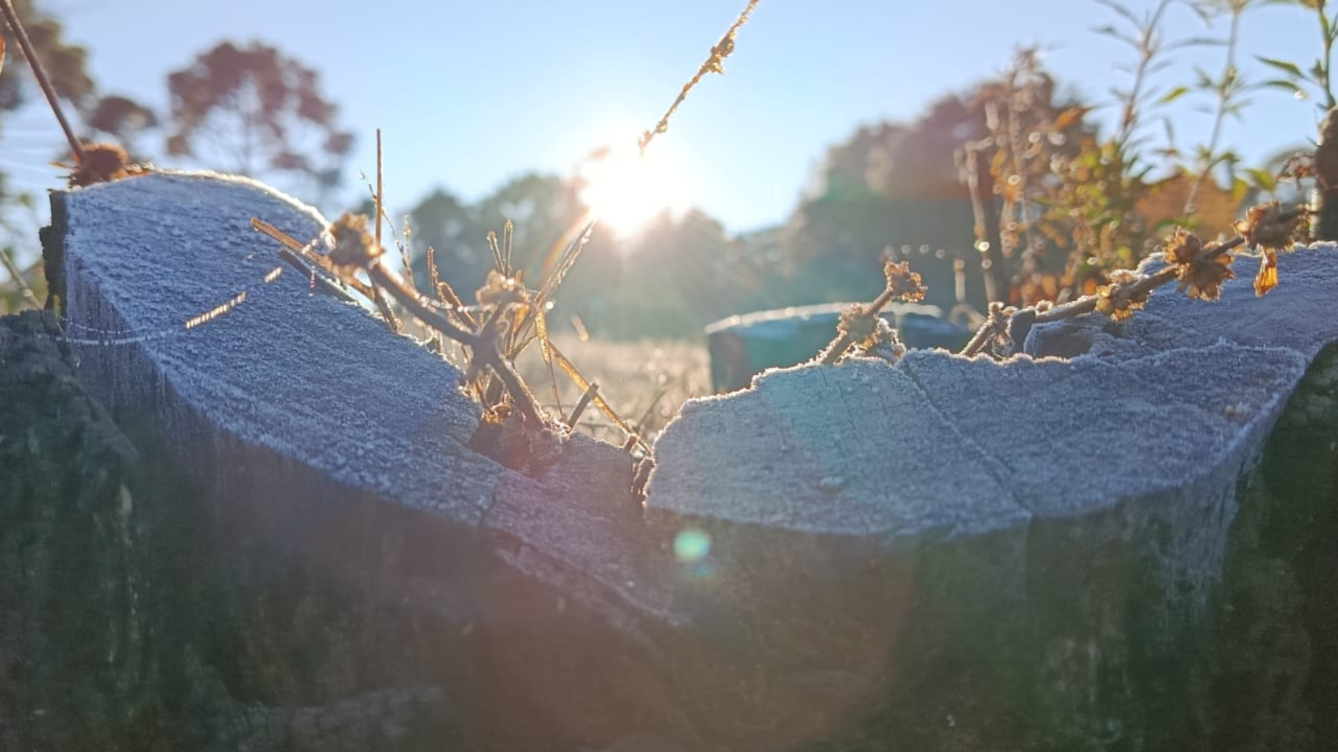 Campos do Jordão, em São Paulo, registrou temperatura de 3,1EC nesta manhã (17)