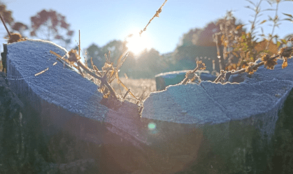 Campos do Jordão, em São Paulo, registrou temperatura de 3,1EC nesta manhã (17)