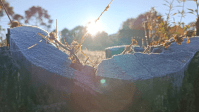 Rio Grande do Sul e Santa Catarina podem ter neve