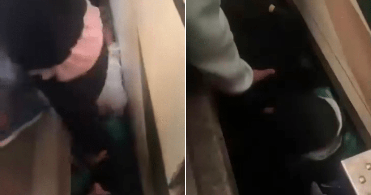 Vídeo: mulher cai em vão entre trem e plataforma da Linha 9-Esmeralda em SP