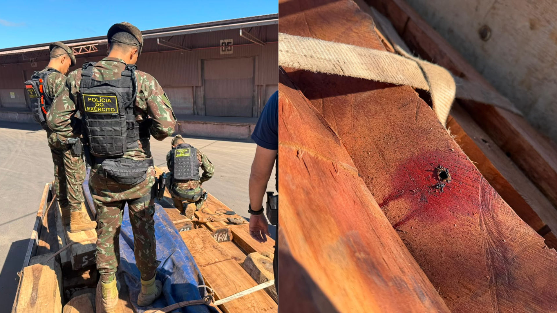 OP TIMBER SHIELD