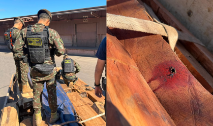 OP TIMBER SHIELD