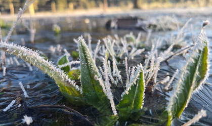 FRIO NO SUL DO BRASIL