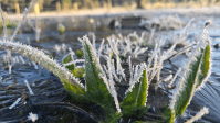 Massa de ar polar leva geada ao Sul e derruba temperaturas no Centro-Sul