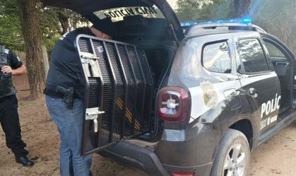 Polícia cumpre mandados em Minas Gerais contra grupo que desviava dinheiro de aposentados