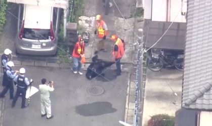 Urso que causou o fechamento de escolas no Japão é capturado