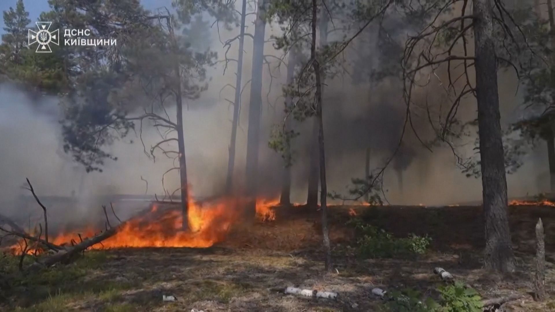Vídeo mostra bombeiros ucranianos combatendo incêndio florestal na zona de exclusão de Chernobyl