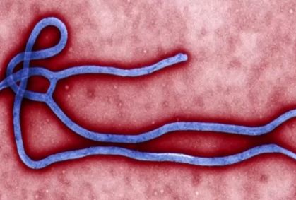 Dois bebês morrem de Ebola no Congo; risco para crianças é elevado