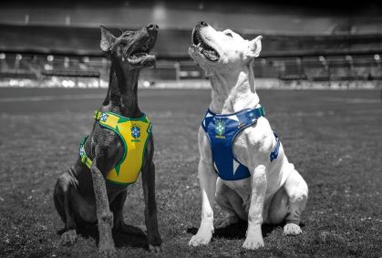 Seleção Brasileira ganha linha especial para pets