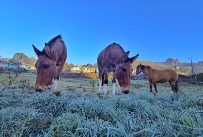 Inverno começa neste domingo; veja o que esperar do clima