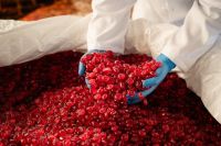 AmbiÁlcool produz etanol a partir de resíduos alimentares