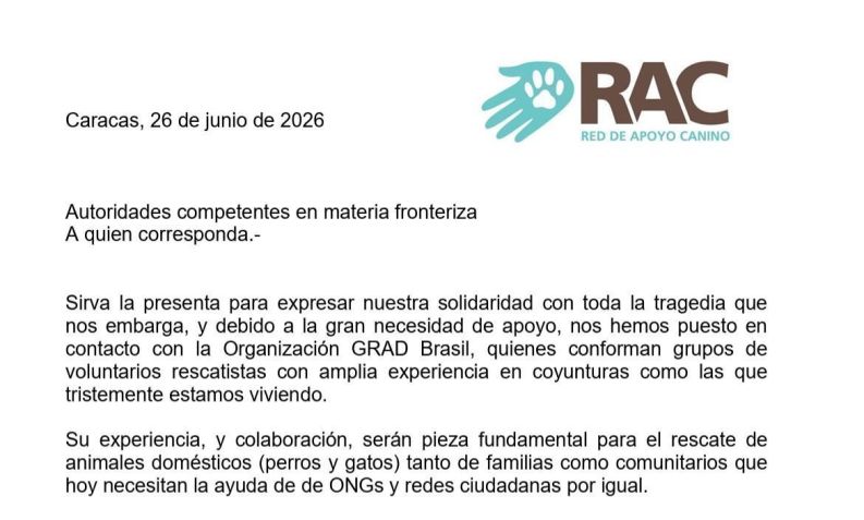 A had access to requests for help from animal support organizations for Brazilian aid • CNN Brasil