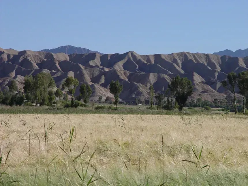 A bacia de Changma, local de um antigo lago, fica na província de Gansu, no noroeste da China • Matt Lamann