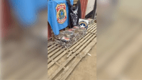 Cerca de 150 quilos de cocaína são apreendidos dentro de contêineres em SC