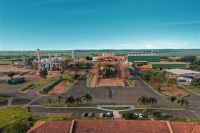 Coruripe aumenta produção e moagem mas receita bruta cai