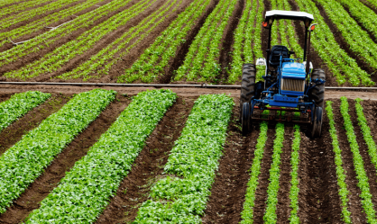 credido agro empresarial
