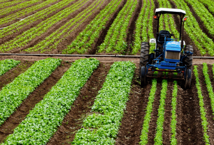 Fertilizantes e dívidas devem ser maiores desafios do agro, diz Abag