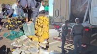 Quase 500 kg de drogas avaliadas em R$ 10 milhões são apreendidas em SP