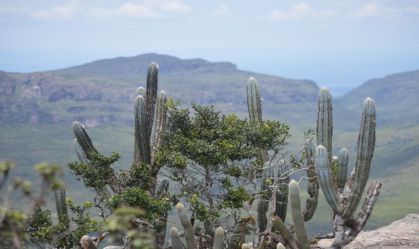 Caatinga