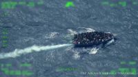 EUA divulgam imagem de barco com 240 imigrantes após resgate