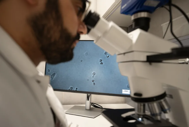 Sarhan examina células de levedura ao microscópio • Andrea De Giovanni/Eurac Pesquisa