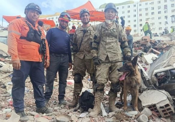 Como cães farejadores ajudam a encontrar sobreviventes em terremotos